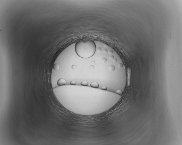 X0000111951491200907271024