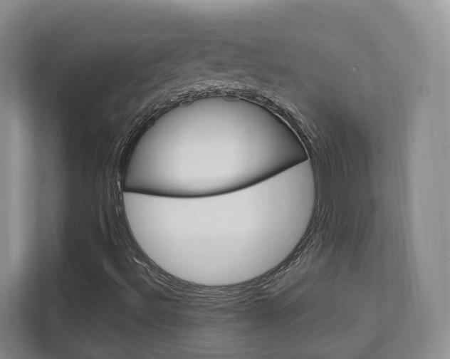 X0000111951492200907271024