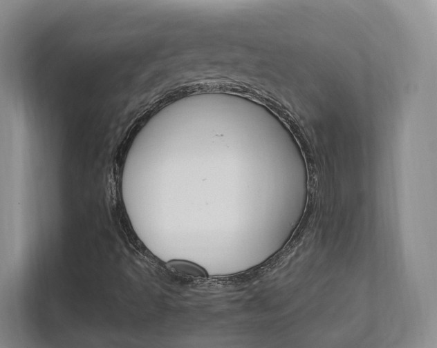 X0000111951493200907271024