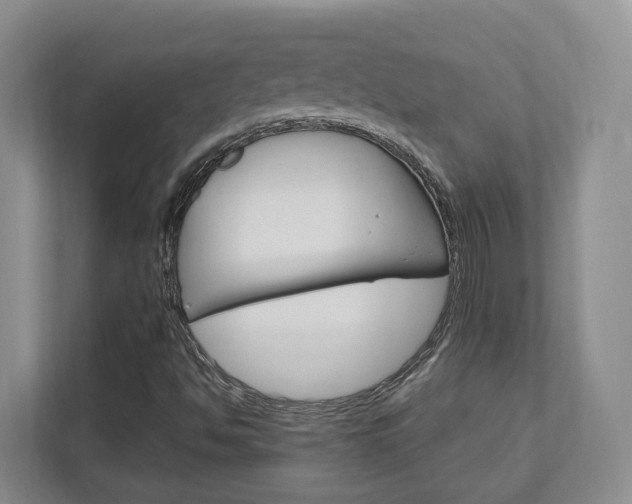 X0000111951494200907271024