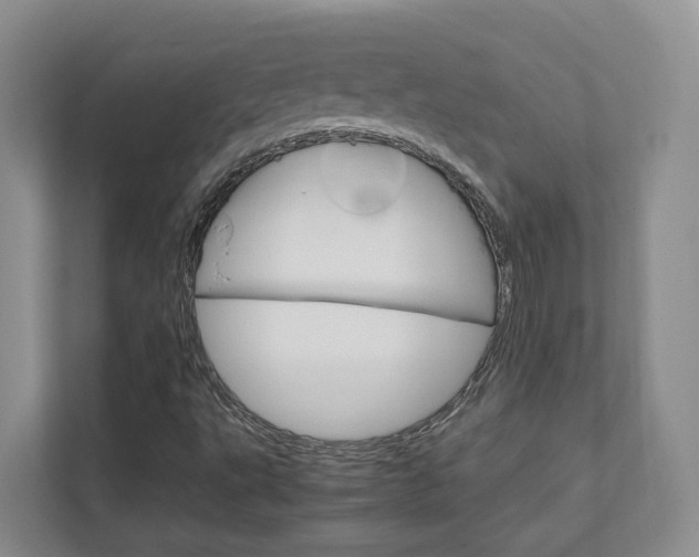 X0000111951495200907271024