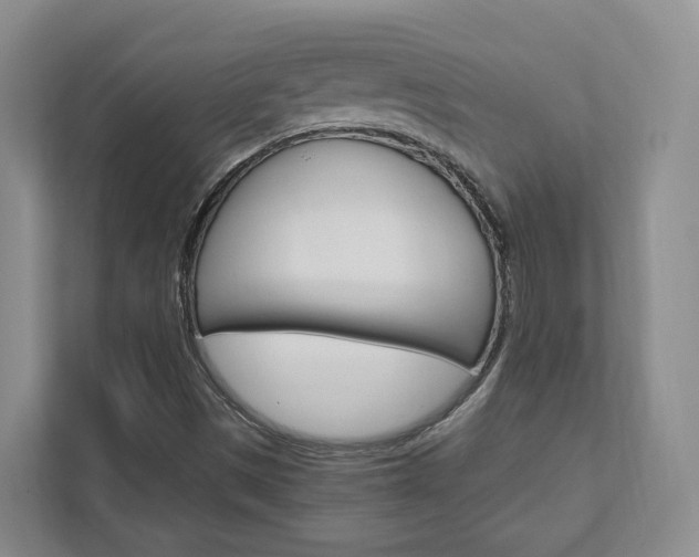 X0000111951497200907271024