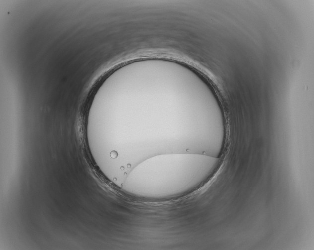 X0000111951498200907271024