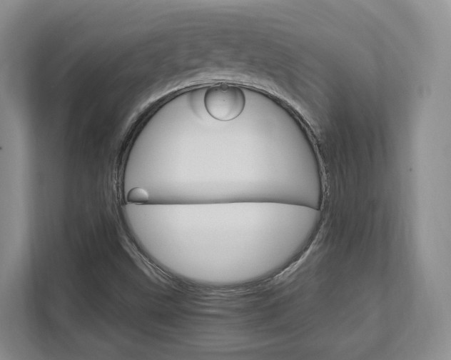 X0000111951499200907271024
