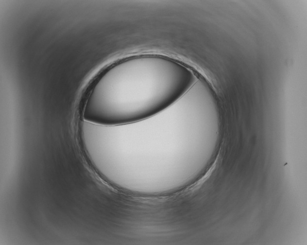 X0000111951502200907271024