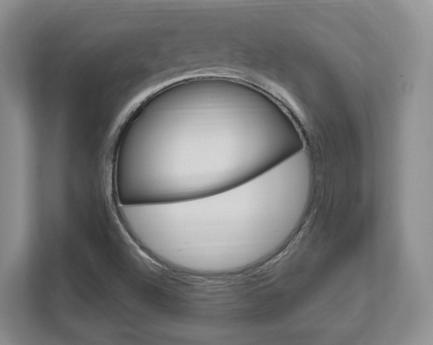 X0000111951504200907271024