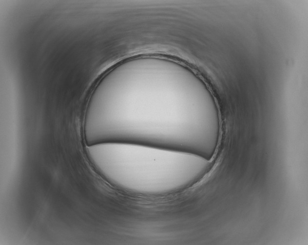 X0000111951505200907271024