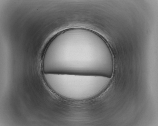 X0000111951507200907271024
