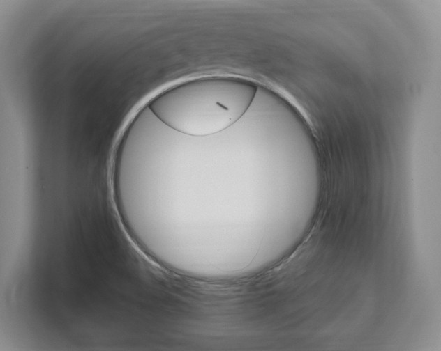 X0000111951508200907271024