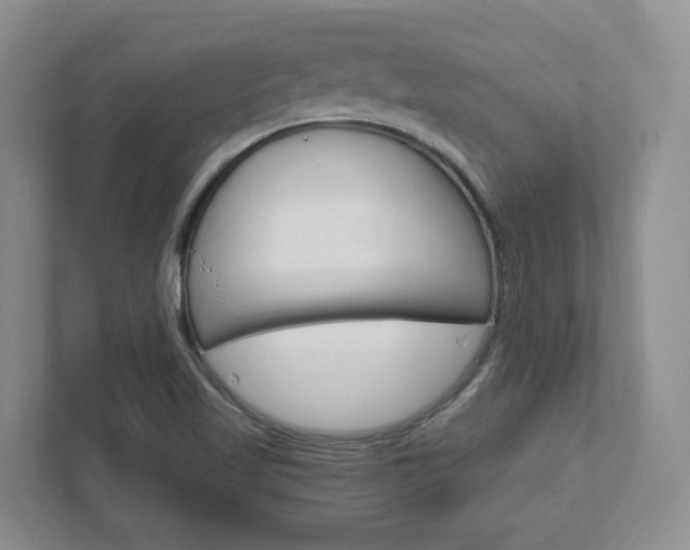 X0000111951509200907271024