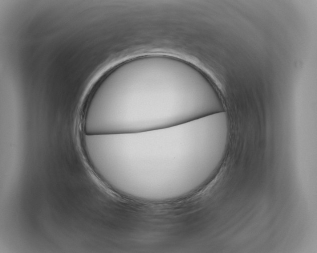 X0000111951511200907271024