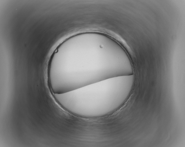 X0000111951512200907271024