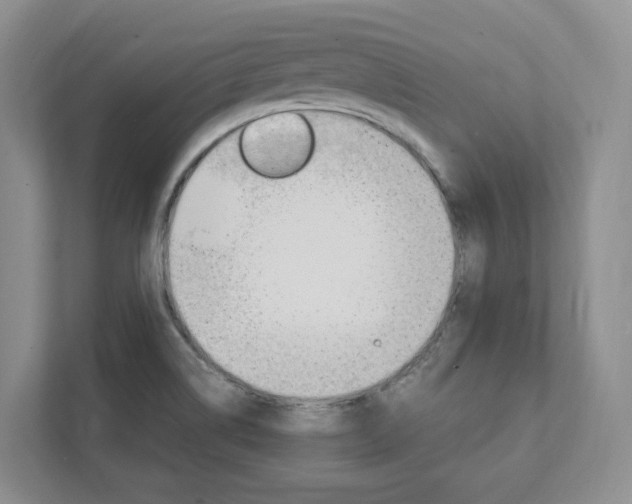X0000111951514200907271024