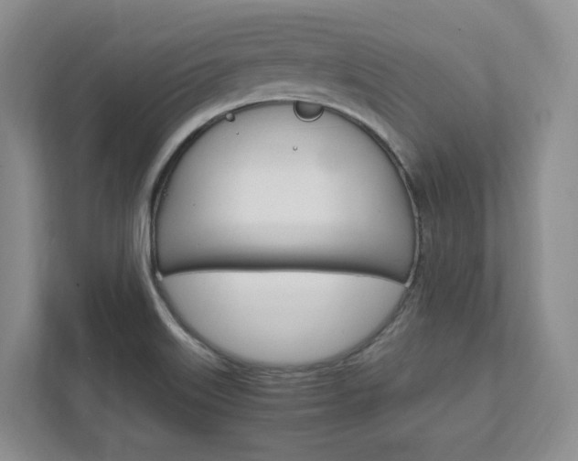X0000111951515200907271024