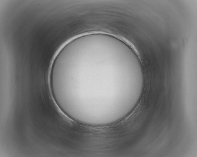 X0000111951516200907271024