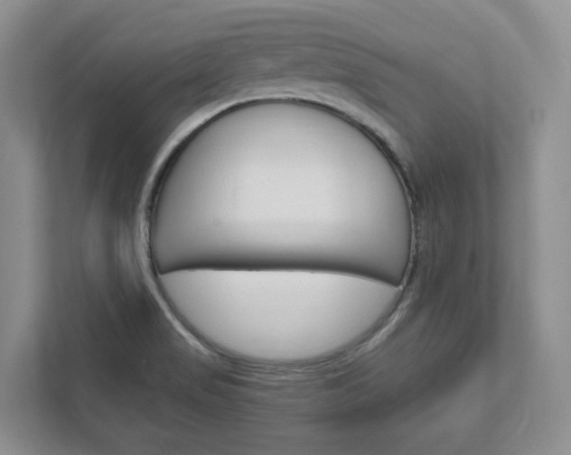 X0000111951517200907271024