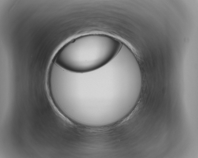 X0000111951518200907271024