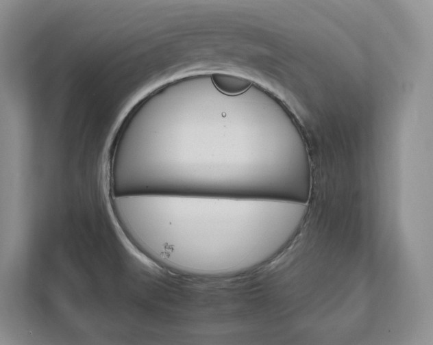 X0000111951519200907271024