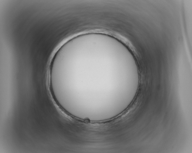 X0000111951520200907271024