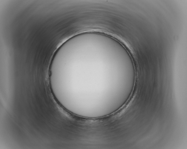 X0000111951521200907271024