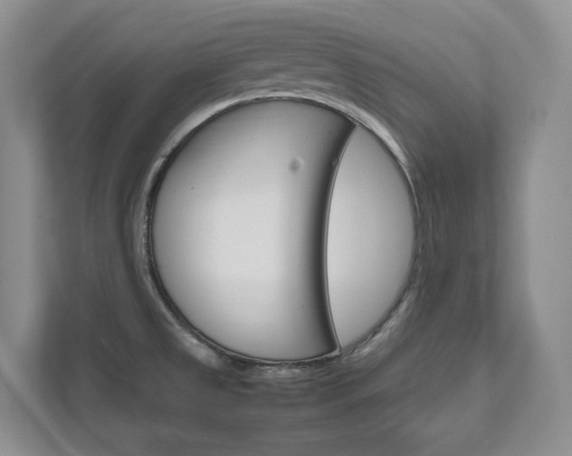 X0000111951525200907271024
