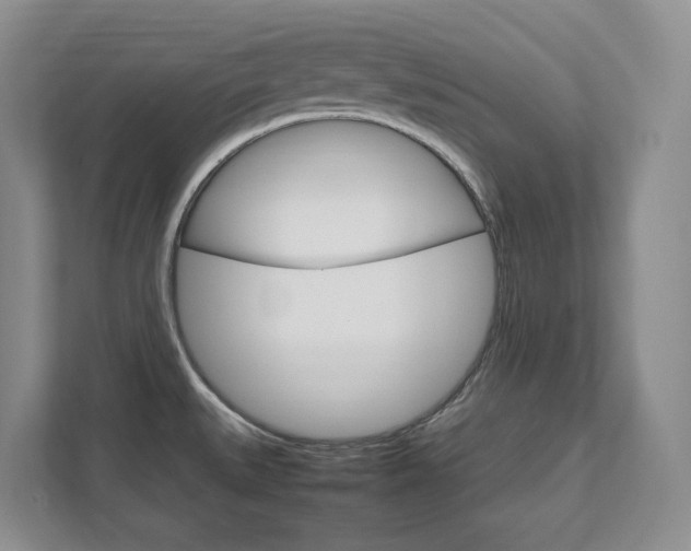 X0000111951527200907271024