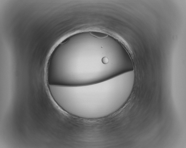 X0000111951528200907271024