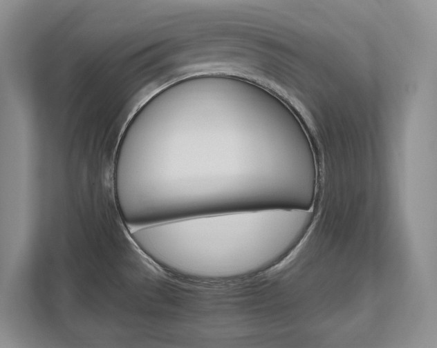 X0000111951529200907271024