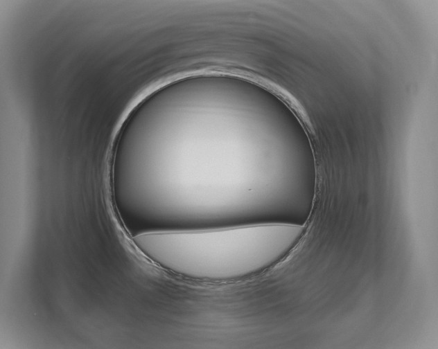 X0000111951530200907271024