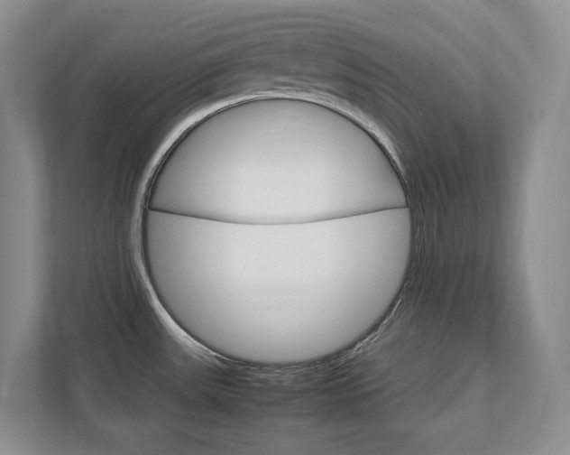 X0000111951531200907271024
