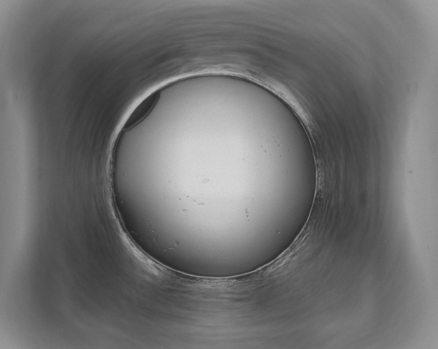 X0000111951532200907271024