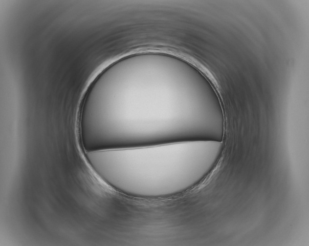 X0000111951533200907271024