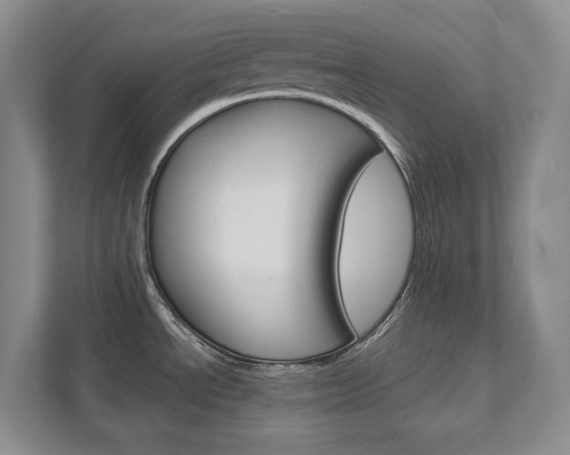 X0000111951534200907271024