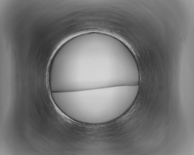 X0000111951535200907271024