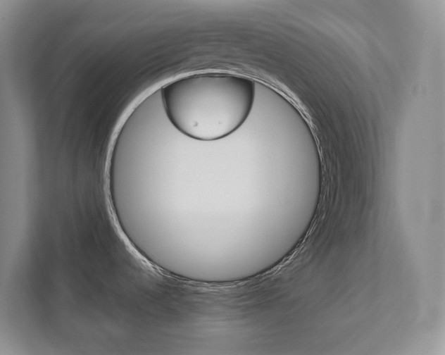 X0000111951536200907271024