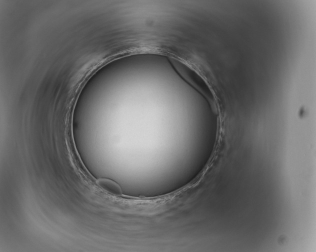 X0000111950001200907271448