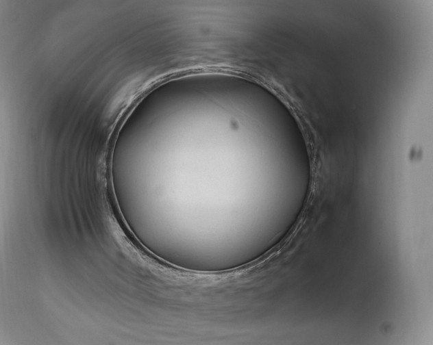 X0000111950002200907271448