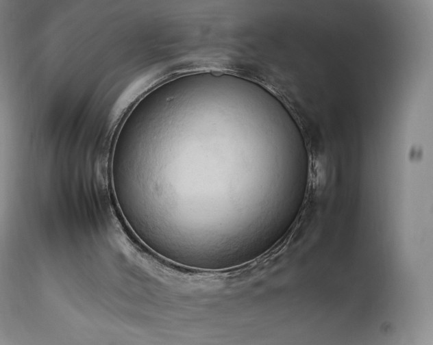 X0000111950004200907271448