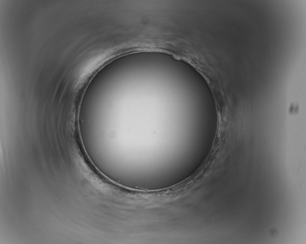 X0000111950005200907271448