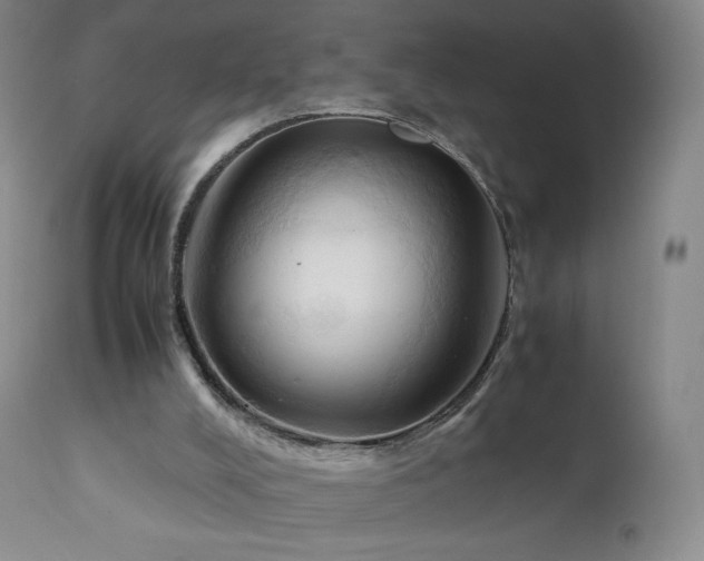 X0000111950008200907271448