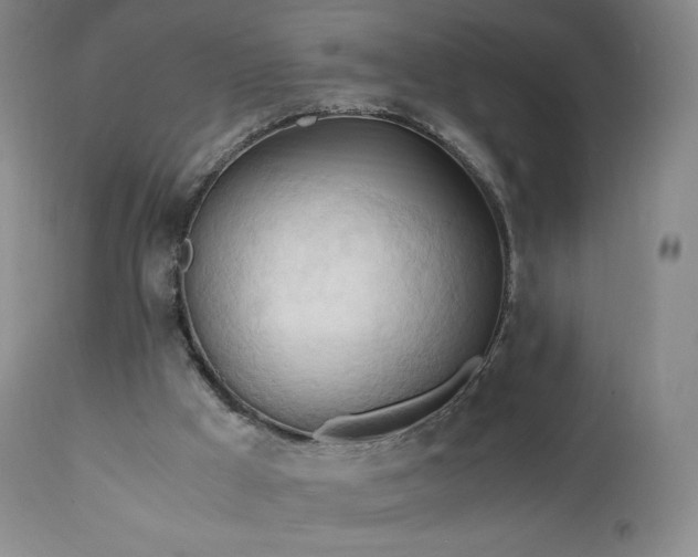 X0000111950009200907271448