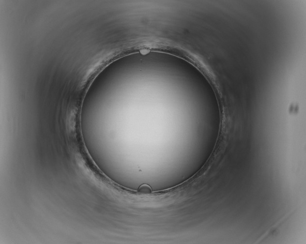 X0000111950010200907271448