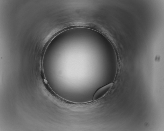 X0000111950011200907271448