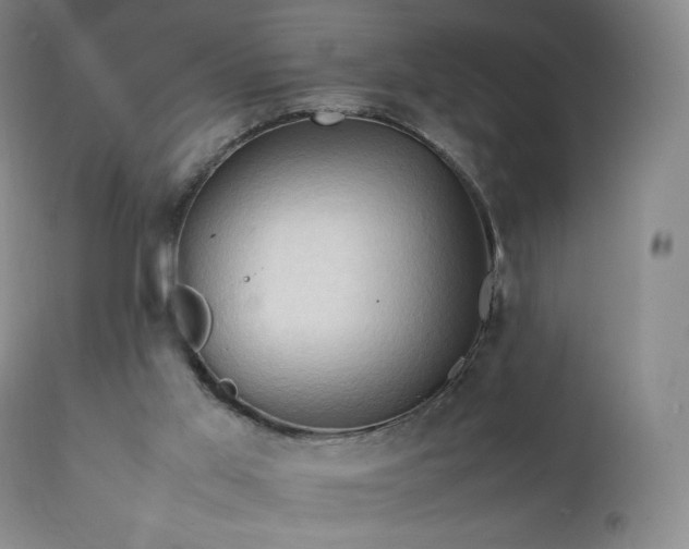 X0000111950013200907271448