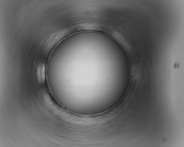 X0000111950014200907271448