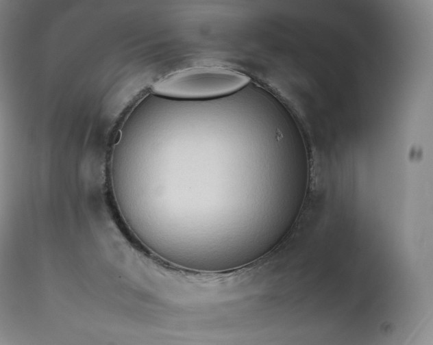 X0000111950015200907271448