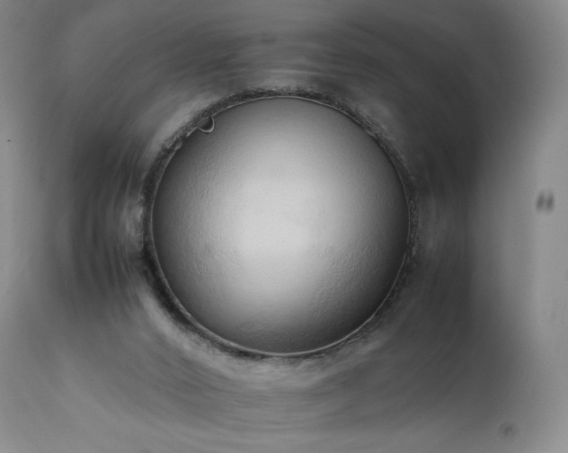 X0000111950016200907271448
