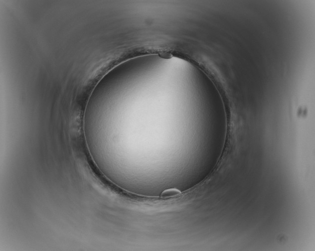 X0000111950017200907271448