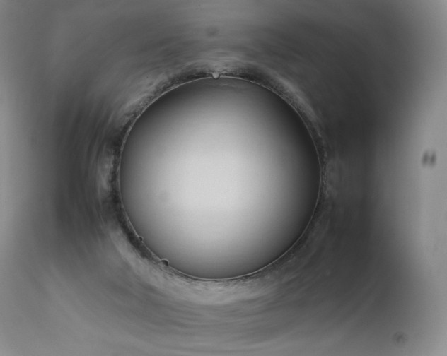 X0000111950018200907271448