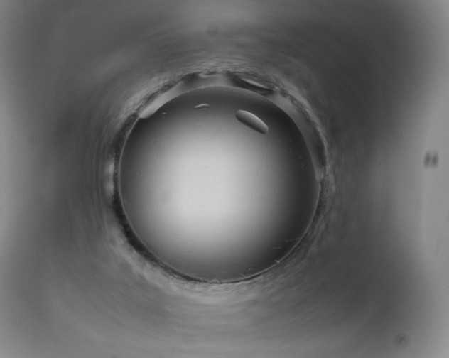 X0000111950019200907271448